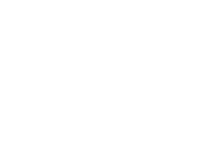 Evolution games at Swanky Bingo Casino